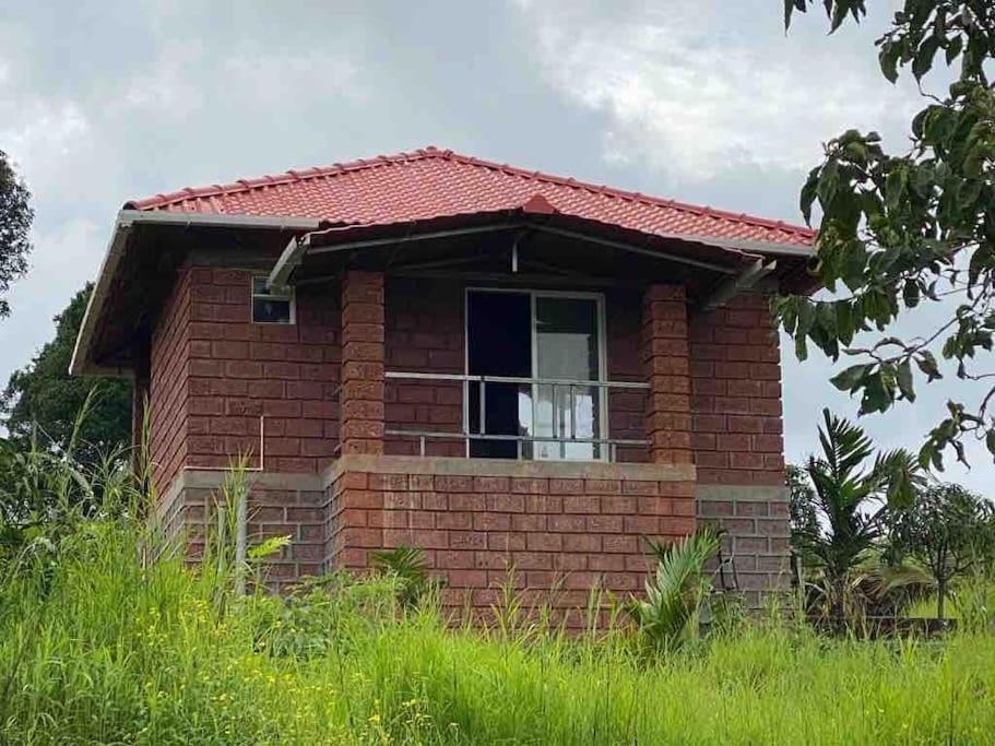 Vila Mars Jungle Adventure Stud Farm With Private Jacuzzi Narsinge Exteriér fotografie